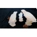 5.6" Rose Quartz Parrots Hand-carved Crystal Specimens Animal Collection