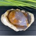 4.8'' Crystal Birds Chalcedony Jasper Geode Carving Birds Statue Sculpture Healing Polished Stone Collection Decoration Gift