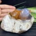 4.8'' Crystal Birds Chalcedony Jasper Geode Carving Birds Statue Sculpture Healing Polished Stone Collection Decoration Gift