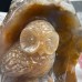 4.6 inches Chalcedony Jasper Owl Statue Nice Geode Crystal Owl