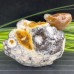 4'' Natural Crystal Chalcedony Jasper Squirrel Carved Animal Statue Home Decoration Art Crafts Collectible Reiki Healing