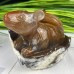 4'' Natural Crystal Chalcedony Jasper Squirrel Carved Animal Statue Home Decoration Art Crafts Collectible Reiki Healing