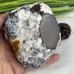 4'' Natural Crystal Chalcedony Jasper Squirrel Carved Animal Statue Home Decoration Art Crafts Collectible Reiki Healing