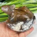 4'' Natural Crystal Chalcedony Jasper Squirrel Carved Animal Statue Home Decoration Art Crafts Collectible Reiki Healing