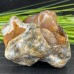 4'' Crystal Dog Statue Chalcedony Jasper Cute Puppy Polished Art Crafts Animal Figurines Home Office Decor Reiki Healing