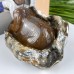 4'' Crystal Dog Statue Chalcedony Jasper Cute Puppy Polished Art Crafts Animal Figurines Home Office Decor Reiki Healing