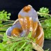 4'' Crystal  Carved Cobra Chalcedony Jasper Snake Hand Carved Animal Statue Art Crafts Home Decor Gift Energy Healing