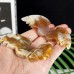 Quartz Rock Crystal Wings Chalcedony Jasper Angel Wings Blue Agate 3D Flying Wings