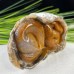 Nice Chalcedony Jasper Carved Crystal Snake, Reki Healing Snake Caving Statue