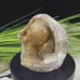 4.3”Quartz Rock Crystal Monkey Reki Healing Crystal Monkey Sculpture