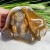 5.0' Chalcedony Jasper Monkey Crystal Monkey Carving Statue Home Decor Gift