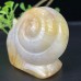 2.6''Chalcedony Jasper Snail Hand Carved Rose Quartz Crystals Reiki Healing Gifts Home Office Decoration