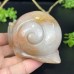 4''Chalcedony Jasper Snail Hand Carved Quartz Crystals Animal Reiki Healing Gifts Home Office Decoration