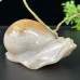 4''Chalcedony Jasper Snail Hand Carved Quartz Crystals Animal Reiki Healing Gifts Home Office Decoration