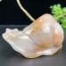 4''Chalcedony Jasper Snail Hand Carved Quartz Crystals Animal Reiki Healing Gifts Home Office Decoration