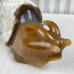 Giant 4.7LB Chalcedony Jasper Carved Crystal Snail Sculpture, 8.7 2130g