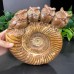 DO-Custom Order of Snail Fossil Owl Carvings