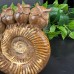 DO-Custom Order of Snail Fossil Owl Carvings