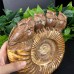 DO-Custom Order of Snail Fossil Owl Carvings