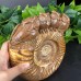 DO-Custom Order of Snail Fossil Owl Carvings