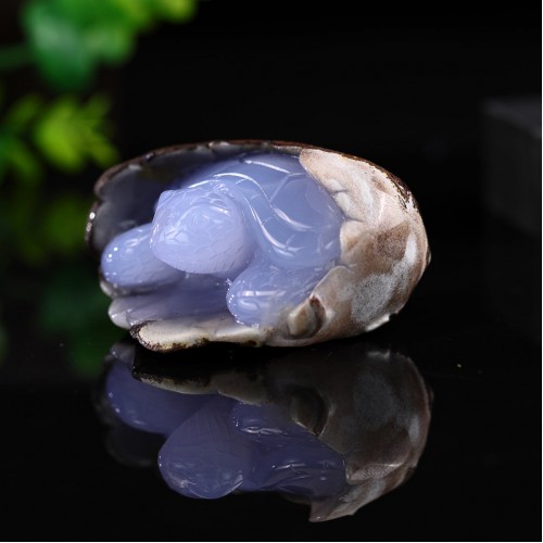 Stunning 3.2" Blue Chalcedony Cave Carved Turtle - Gorgeous Decor Piece for Your Home or Office