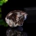 Stunning 3.2" Blue Chalcedony Cave Carved Turtle - Gorgeous Decor Piece for Your Home or Office