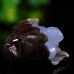 Stunning 3.2" Blue Chalcedony Cave Carved Turtle - Gorgeous Decor Piece for Your Home or Office