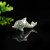 2" Dolphin Hand Carved Nine Dragon Jade Natural Crystal Statue Quartz Healing