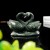 4" Double Swan Nine Dragon Jade Stone Carved Natural Crystal Statue Healing