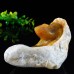 5" Frog Chalcedony Jasper Hand Carved Natural Crystal Statue Scupture Decor