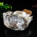 4" Frog Chalcedony Jasper Hand Carved Natural Crystal Statue Scupture Decor