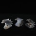 2" Realistic Eagle Skull Agate Geode Druse Clust Quartz Natural Crystal Statue