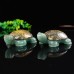 3.3" Natural Crystal Turtle Leopard Skin Stone Green Aventurine Quartz Statue