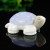 2.1" Natural Crystal Turtle Blue Chalcedony Ivory Jade Stone Quartz Statue