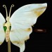 5" Natural Crystal Amazonite Stone Butterfly Wings Statue with Copper Holder