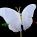 5.7" Natural Crystal Blue Chalcedony Butterfly Wings Statue with Copper Holder