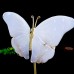 5.7" Natural Crystal Blue Chalcedony Butterfly Wings Statue with Copper Holder