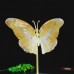 5.7" Natural Crystal Yellow Chalcedony Butterfly Wings Statue with Copper Holder