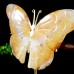 5.7" Natural Crystal Yellow Chalcedony Butterfly Wings Statue with Copper Holder