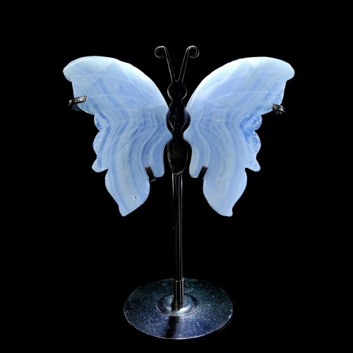 2.4" 35g Natural Crystal Blue Lace Agate Butterfly Wings Skull Statue + Iron Holder