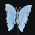 3.3" 46g Natural Crystal Blue Lace Agate Butterfly Wings Skull Statue + Iron Holder