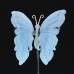 3" 39g Natural Crystal Blue Lace Agate Butterfly Wings Skull Statue + Iron Holder