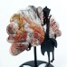 3.3" 57g Natural Crystal Red Lace Agate Peacock Wings Skull Statue + Iron Holder