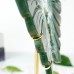 6.9" 547g Butterfly Wing Natural Crystal Statue Carved Moss Agate Copper Holder