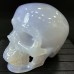 2.6LB Blue Chalcedony Skull Hand Carved Realistic Skull Crystal Collections Home Office Decor