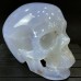 2.6LB Blue Chalcedony Skull Hand Carved Realistic Skull Crystal Collections Home Office Decor