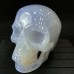 2.6LB Blue Chalcedony Skull Hand Carved Realistic Skull Crystal Collections Home Office Decor