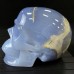 3.62LB Top A+ Blue Chalcedony Crystal Skull Hand-Carved Quartz Crystal Healing Collection Decor Gift