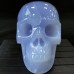 3.62LB Top A+ Blue Chalcedony Crystal Skull Hand-Carved Quartz Crystal Healing Collection Decor Gift