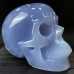 3.62LB Top A+ Blue Chalcedony Crystal Skull Hand-Carved Quartz Crystal Healing Collection Decor Gift